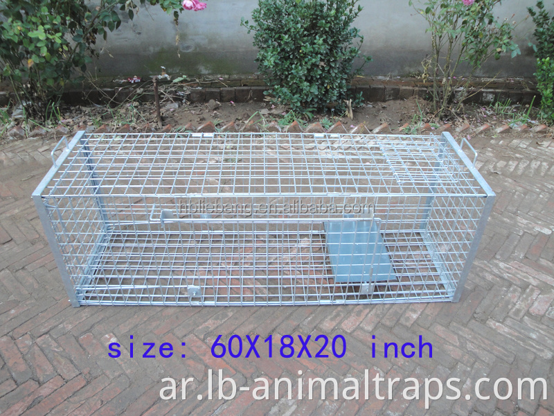 Liebang Humane Hunting Live Animal Cage Traps لحيوانات الآفات الكبيرة مكافحة الحيوانات الثعلب الفق